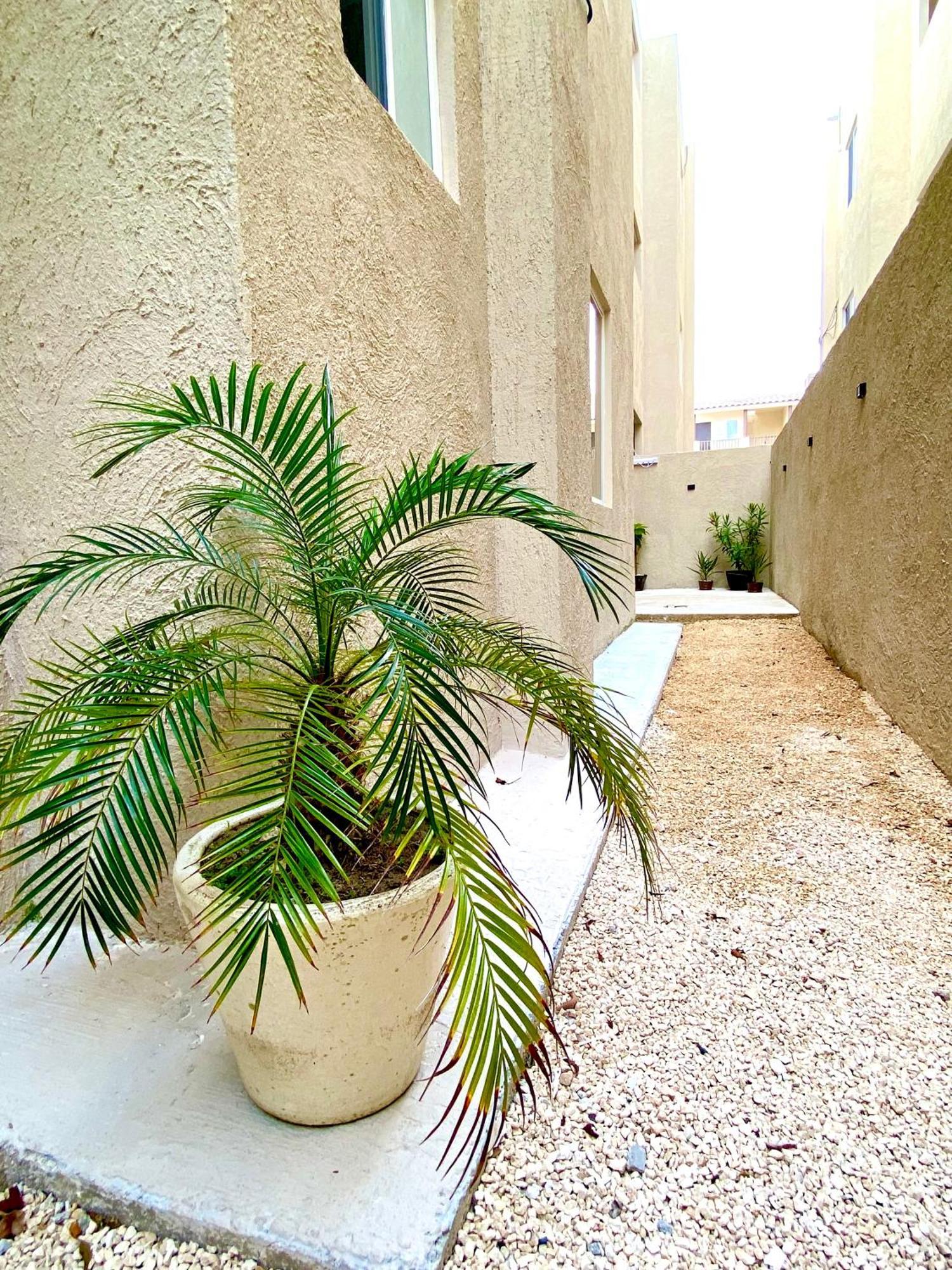 Casa Etna Apartment Cancun Exterior photo